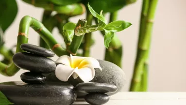 Gondoltad volna? A Feng Shui szerint egyenesen tilos ezzel a tárggyal egy szobában aludni